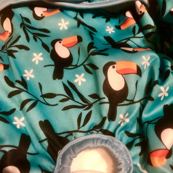 Hi Sprout Female Dog Diaper Reusable Washable Cloth Doggie Butterfly & Toucan L - Picture 7 of 8
